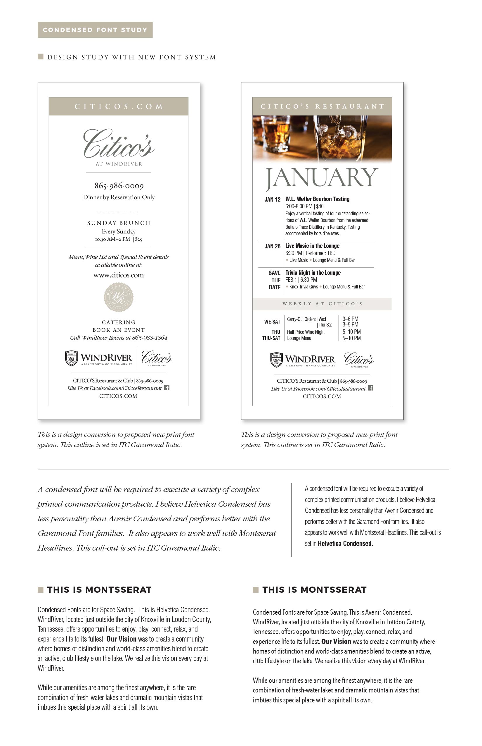 Windriver Brand Guide