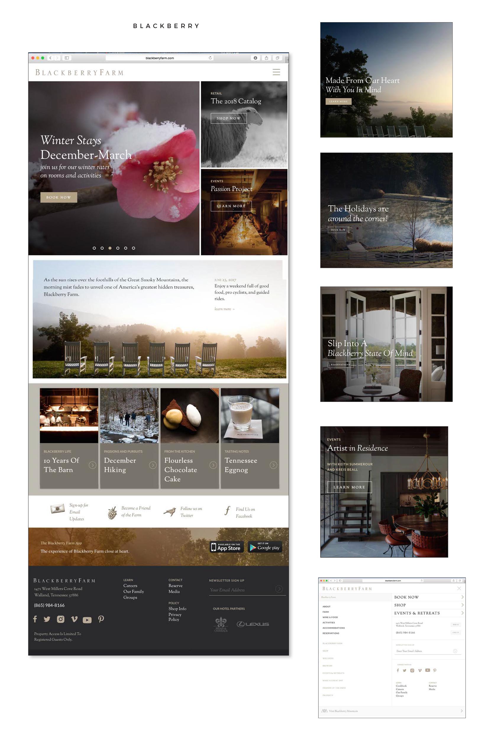 Windriver Brand Guide
